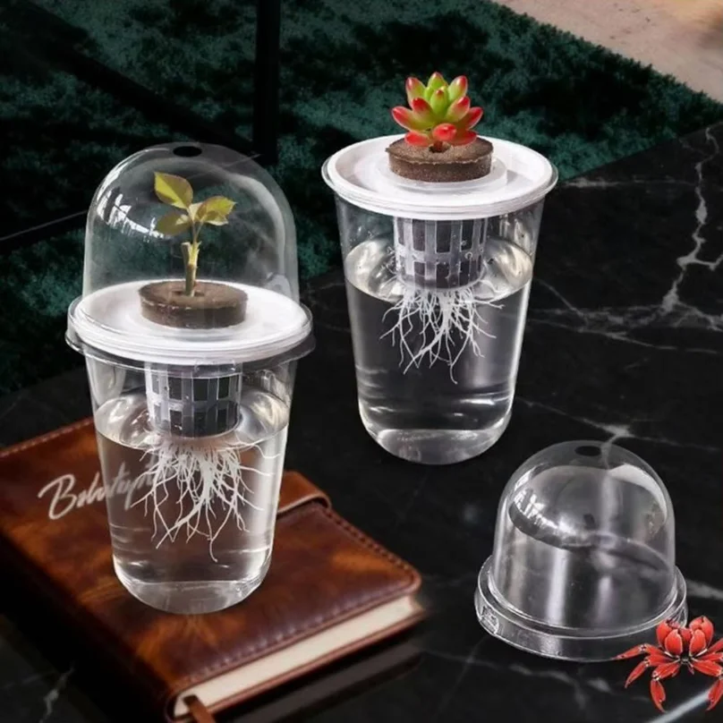 Hydroponic Seeds Starter Transparent Plant Propagation Cup Plant Propagation Station Kit Transparent Hydroponic for Succulents thumbnail 3