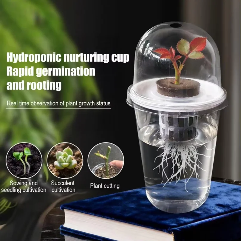 Hydroponic Seeds Starter Transparent Plant Propagation Cup Plant Propagation Station Kit Transparent Hydroponic for Succulents thumbnail 2