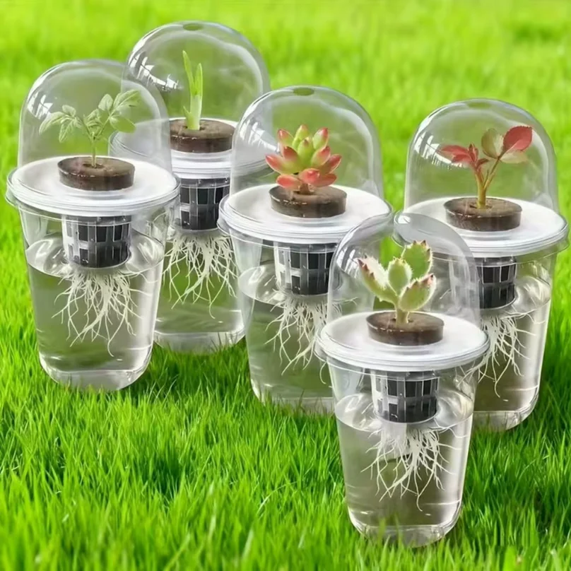 Hydroponic Seeds Starter Transparent Plant Propagation Cup Plant Propagation Station Kit Transparent Hydroponic for Succulents thumbnail 6