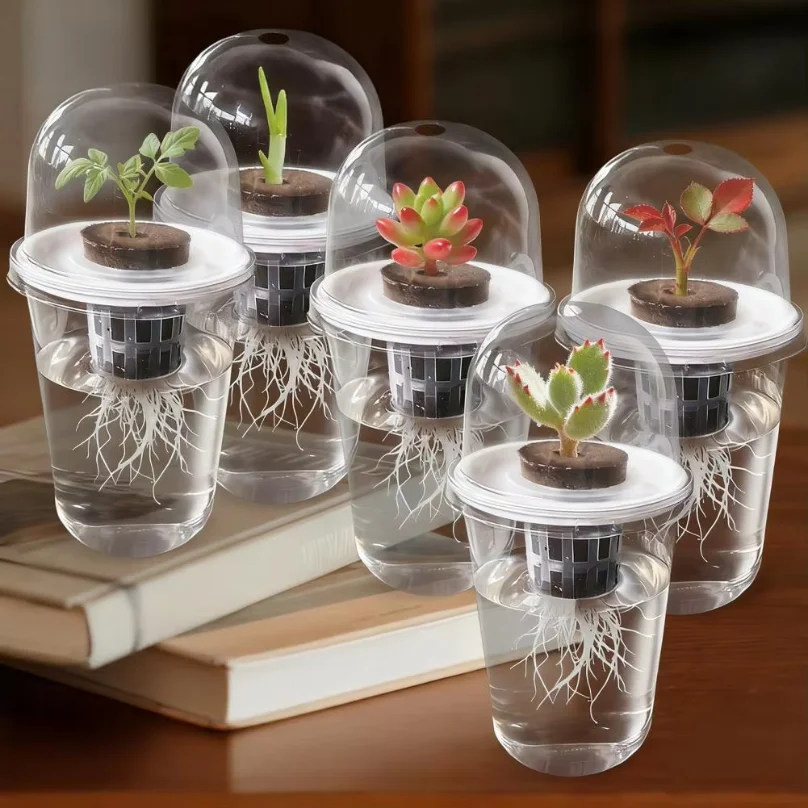 Hydroponic Seeds Starter Transparent Plant Propagation Cup Plant Propagation Station Kit Transparent Hydroponic for Succulents thumbnail 4