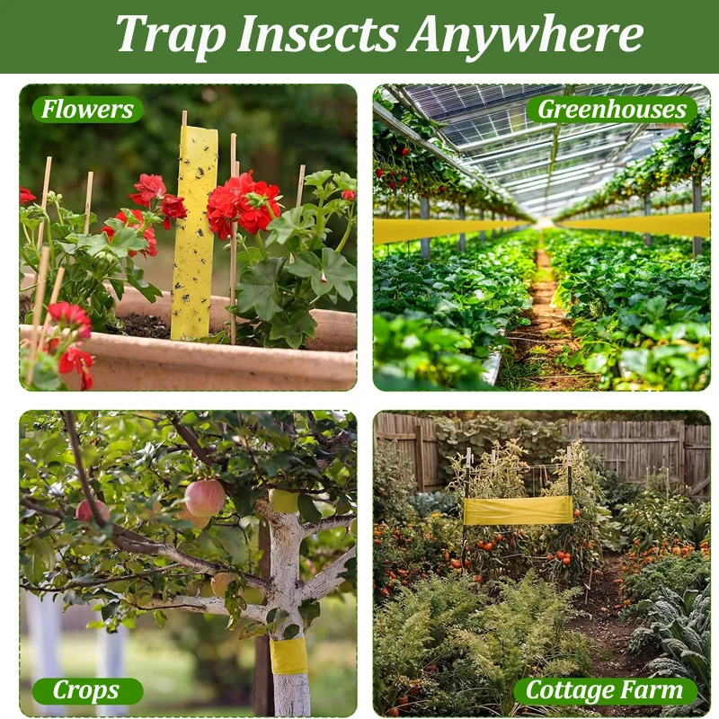 Double-Sided Adhesive Insect Tape Outdoor Pest Catcher Garden Tree Insect Control Sticky Tape Trapping Band for Plant Protection thumbnail 5