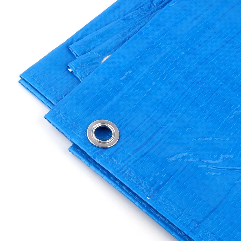 2*3m 3*3M Durable Waterproof PE Car Tarpaulin Windbreak Cloth Home Garden Rain Cloth Sun Shade Sails Gardening Plants Care Cover thumbnail 2
