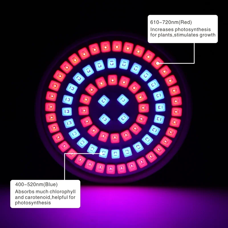 Led Grow Bulb E27 E14 GU10 MR16 B22 220V Hydroponic Growth Light 3w 4w 5w Full Spectrum For Flower Plant Hydroponic Growing Lamp thumbnail 5