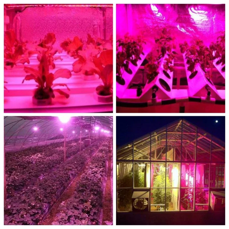 Led Grow Bulb E27 E14 GU10 MR16 B22 220V Hydroponic Growth Light 3w 4w 5w Full Spectrum For Flower Plant Hydroponic Growing Lamp thumbnail 6