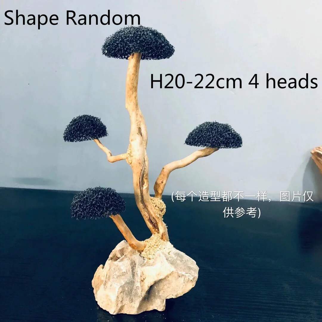 H20-25cm 4 heads