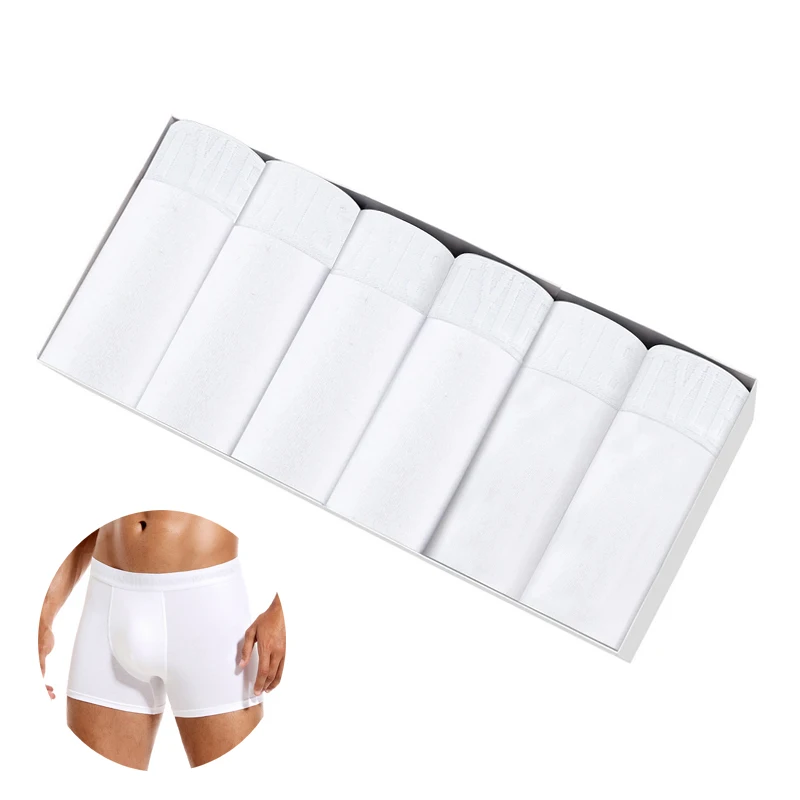 B2-6pcs-white