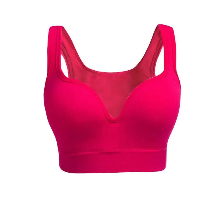 01rose red
