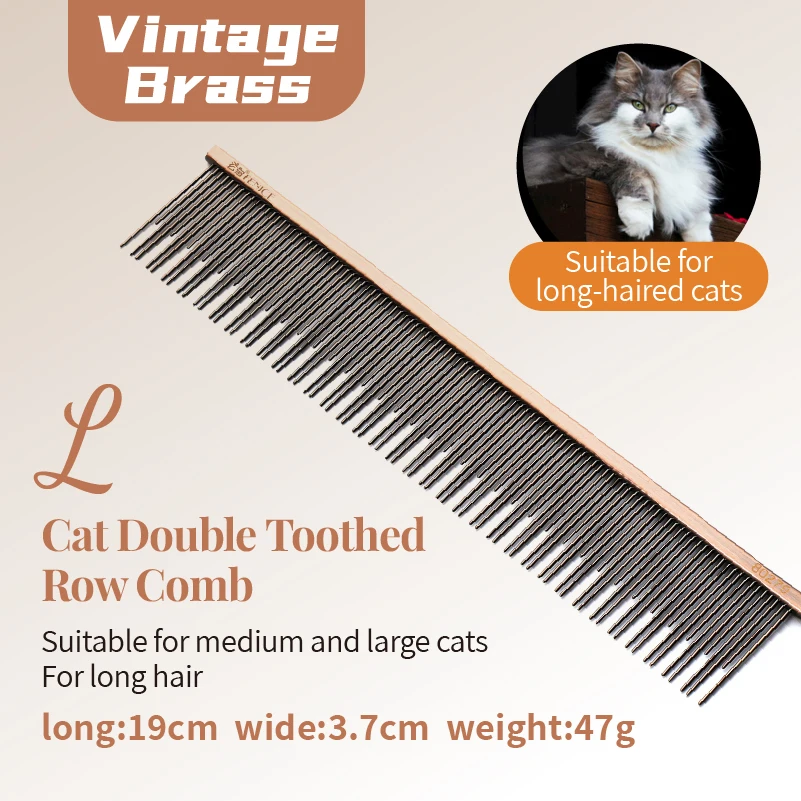 coppery L cat