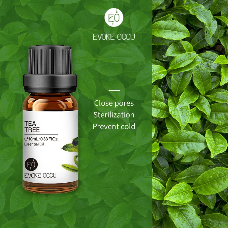 Tea tree