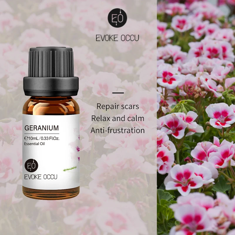 Geranium