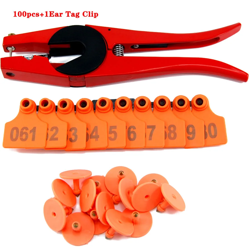 Orange B