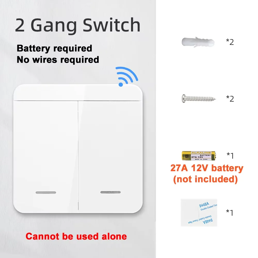 2 Gang Switch
