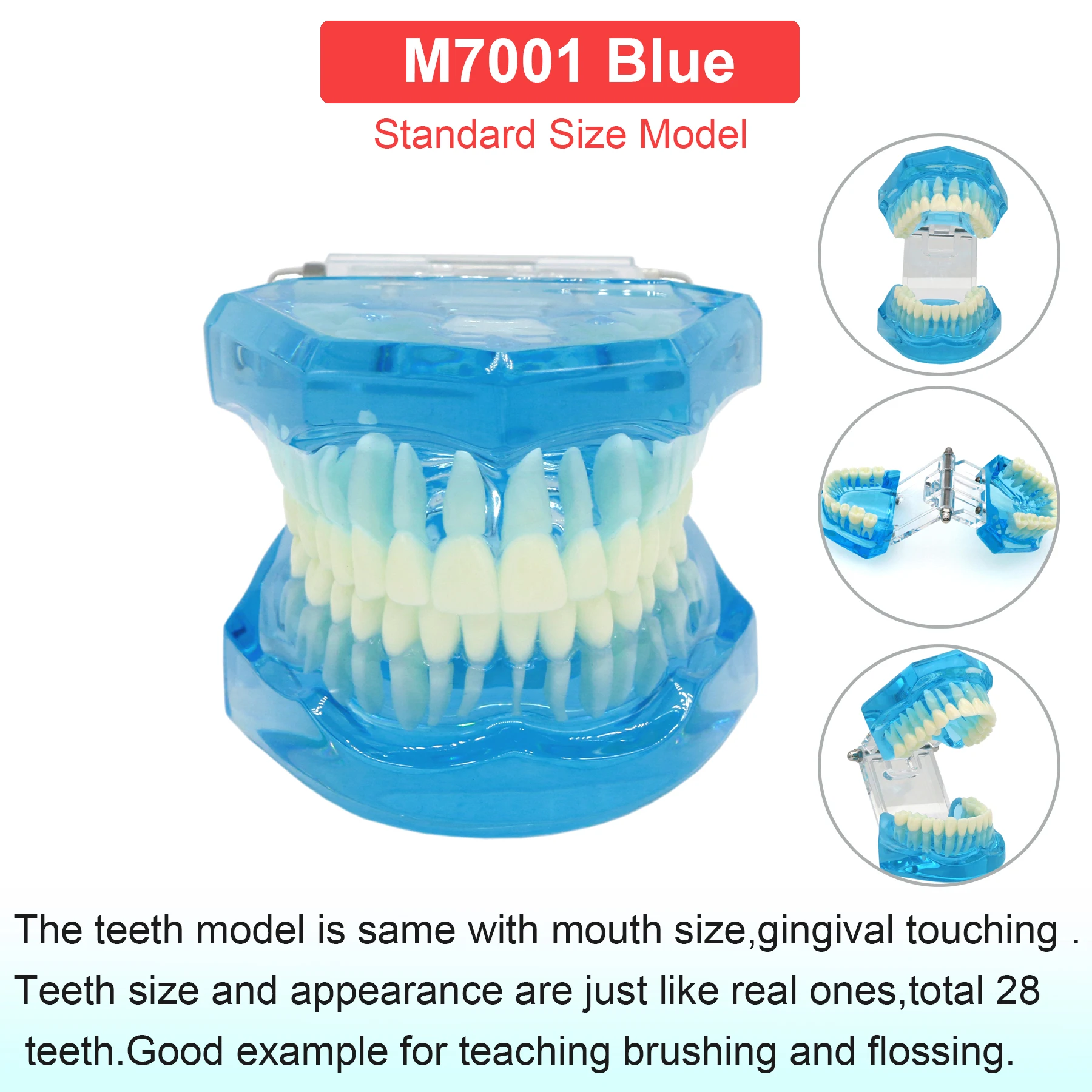 M7001 Blue