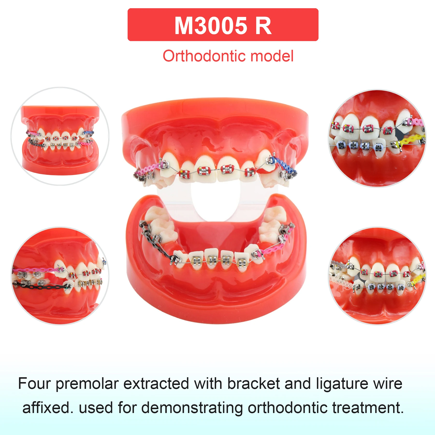 M3005 Red