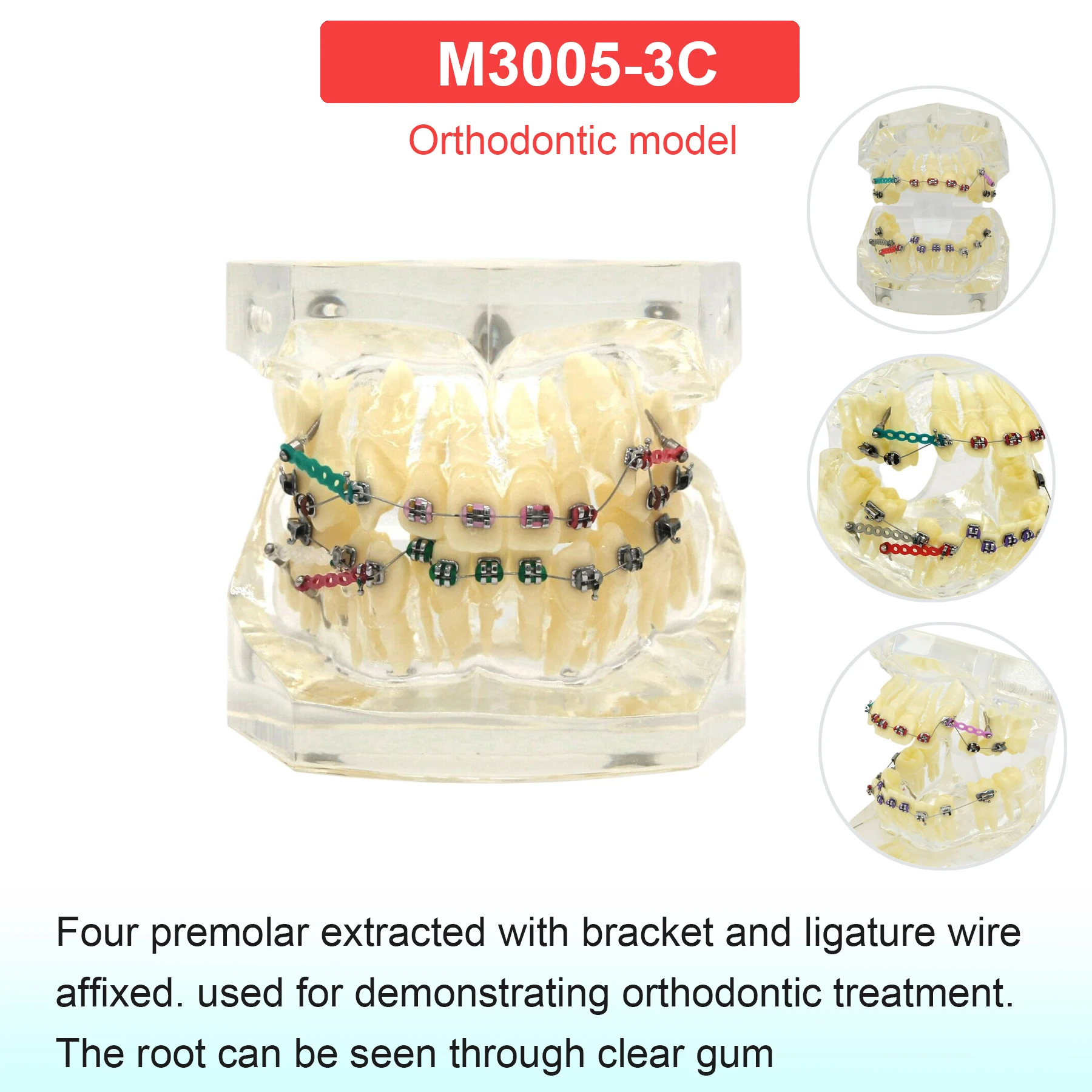 M3005-3C