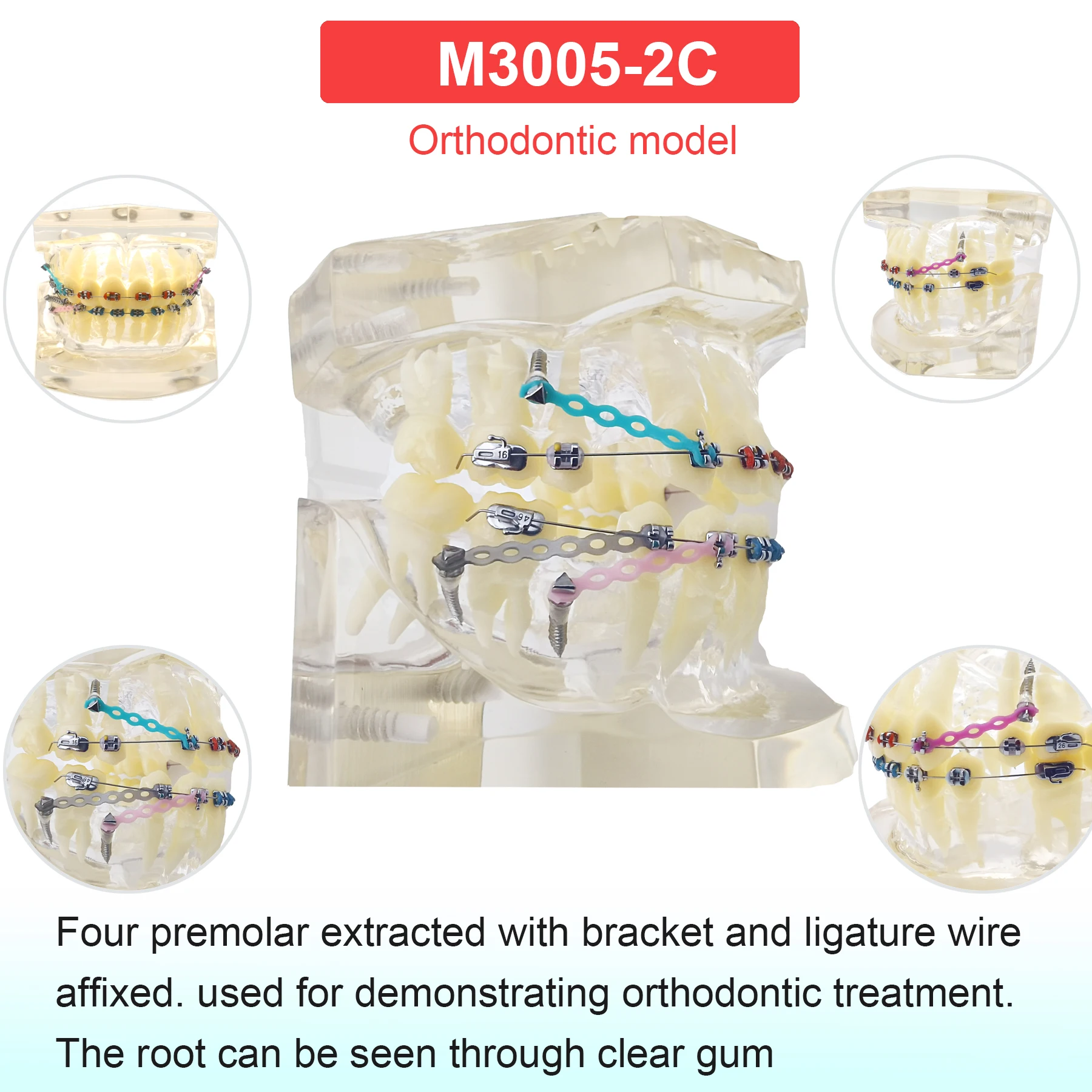 M3005 -2C