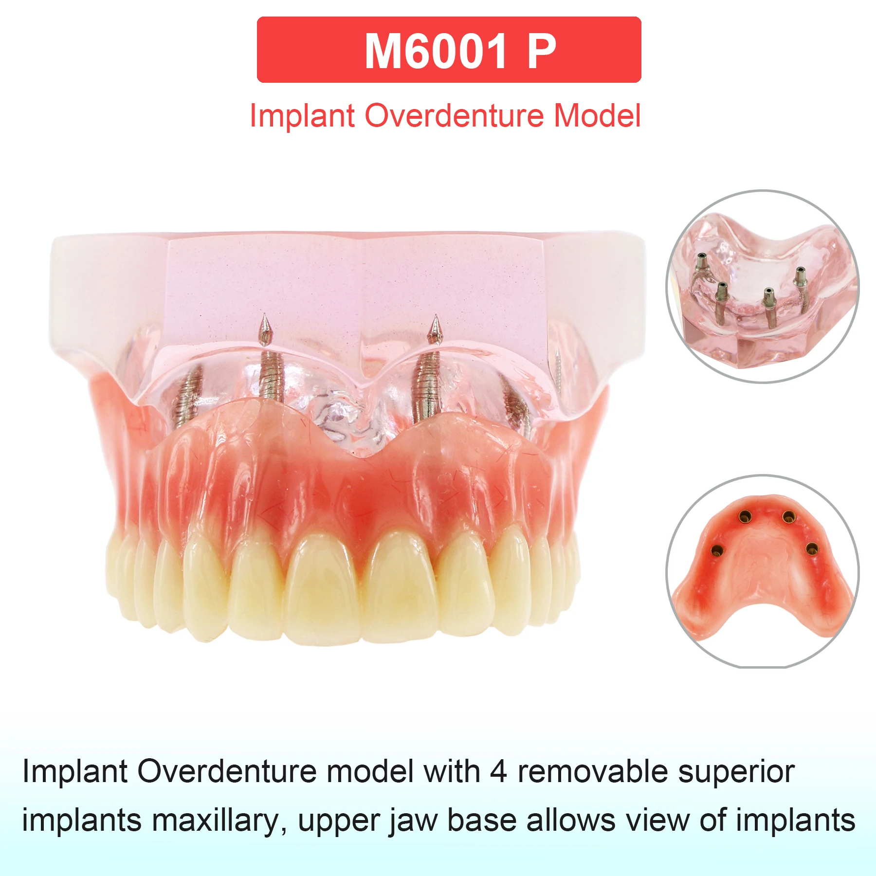 M6001 Pink