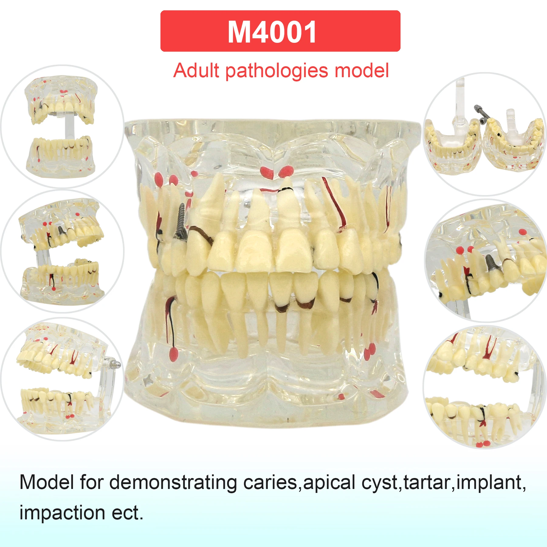 M4001