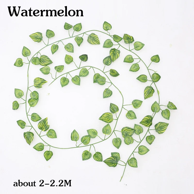 2.2M watermelon