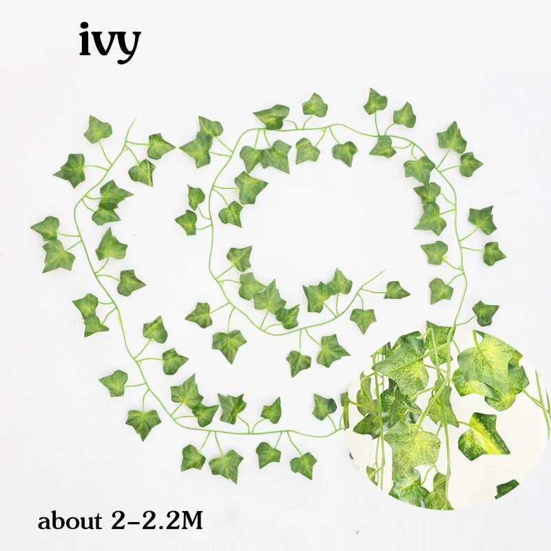 2.2M ivy