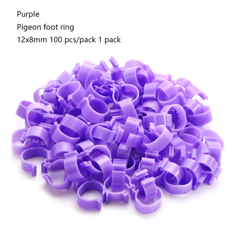 Pigeon Purple 100pcs