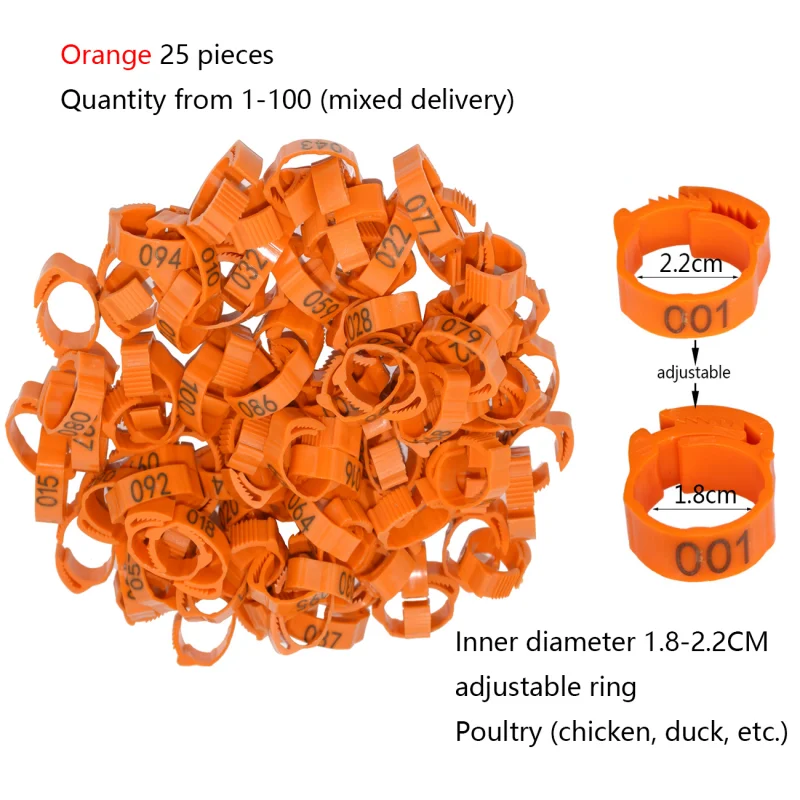 Poultry Orange 25pcs