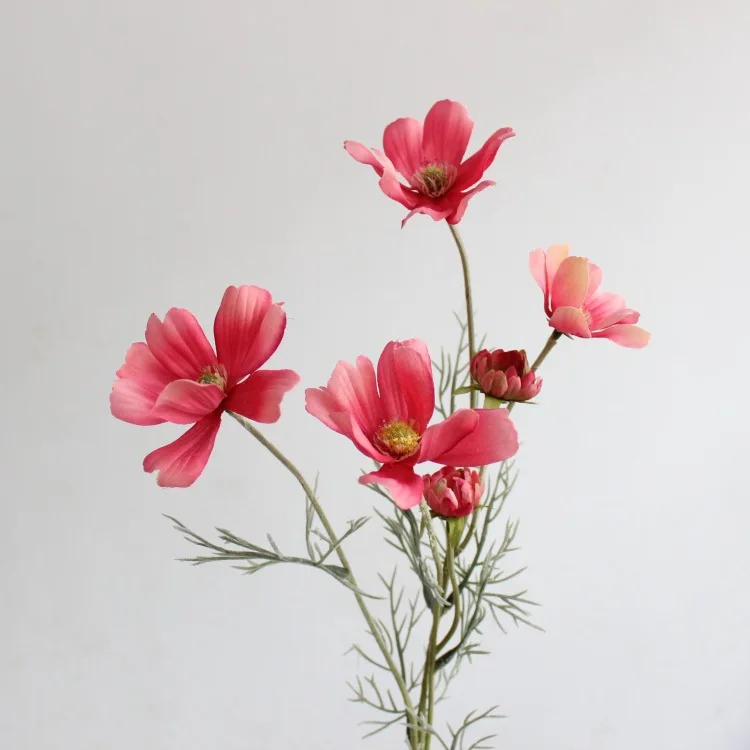 Light Red
