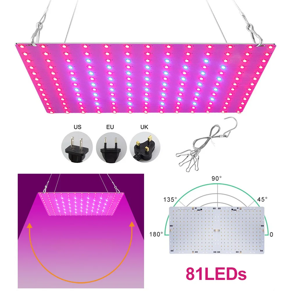 81LED Red Blue