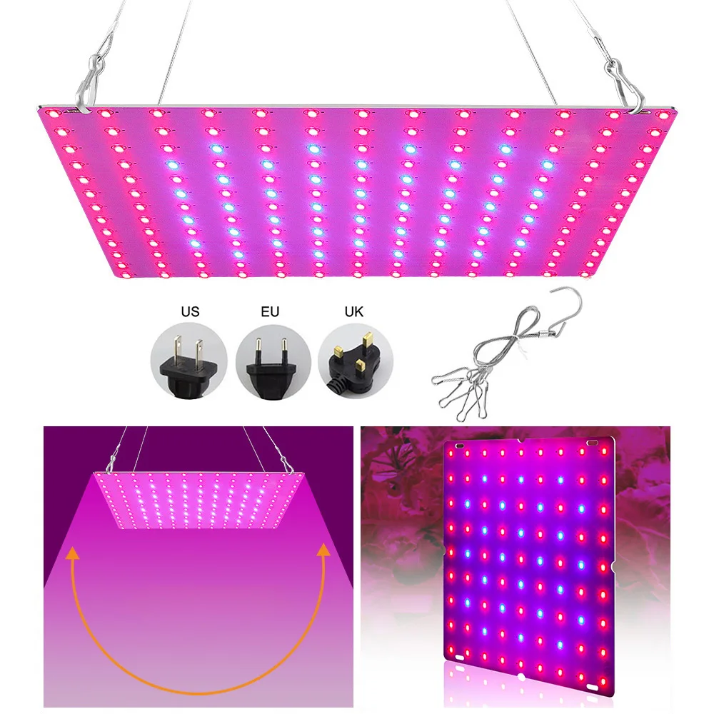 169LED Red Blue