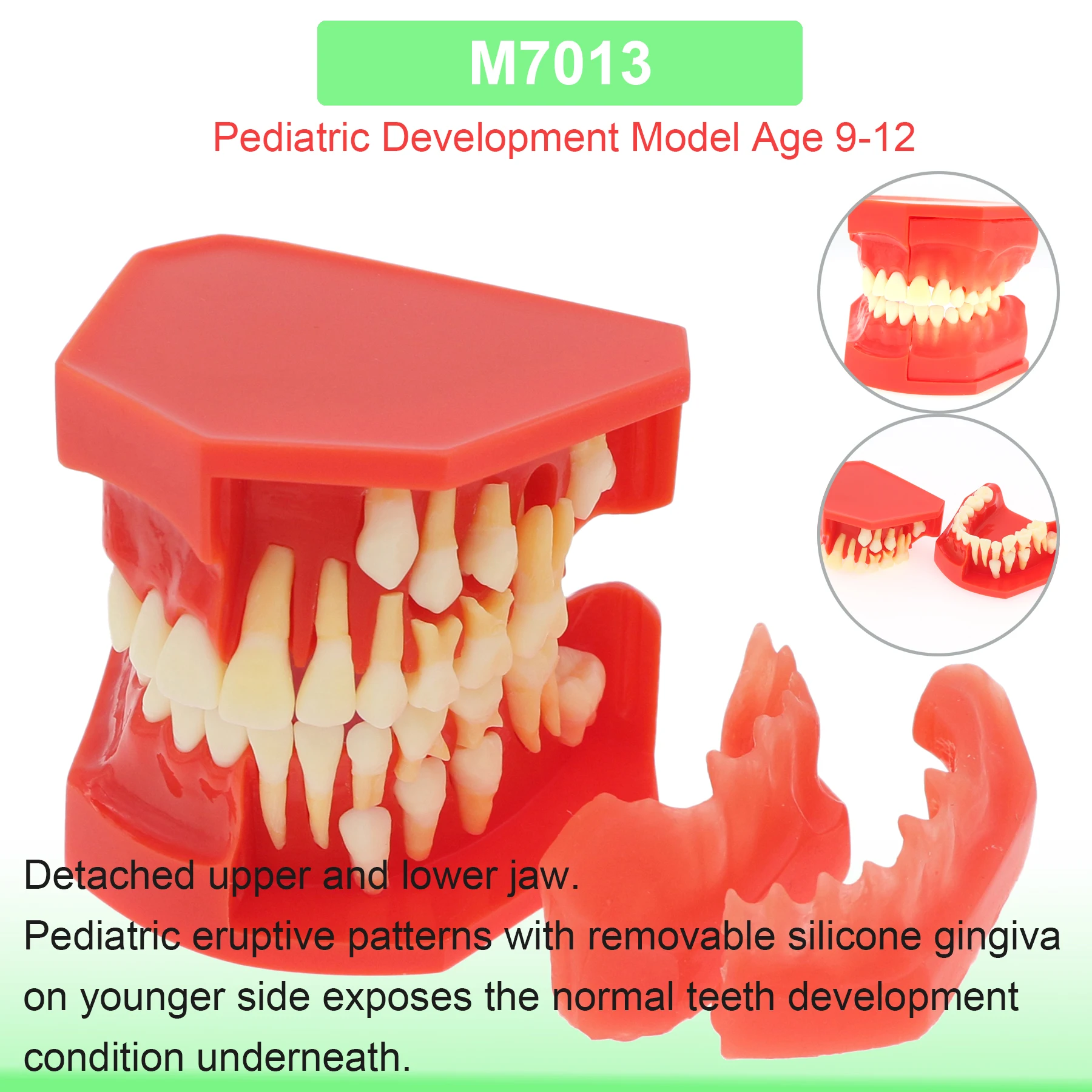 M7013