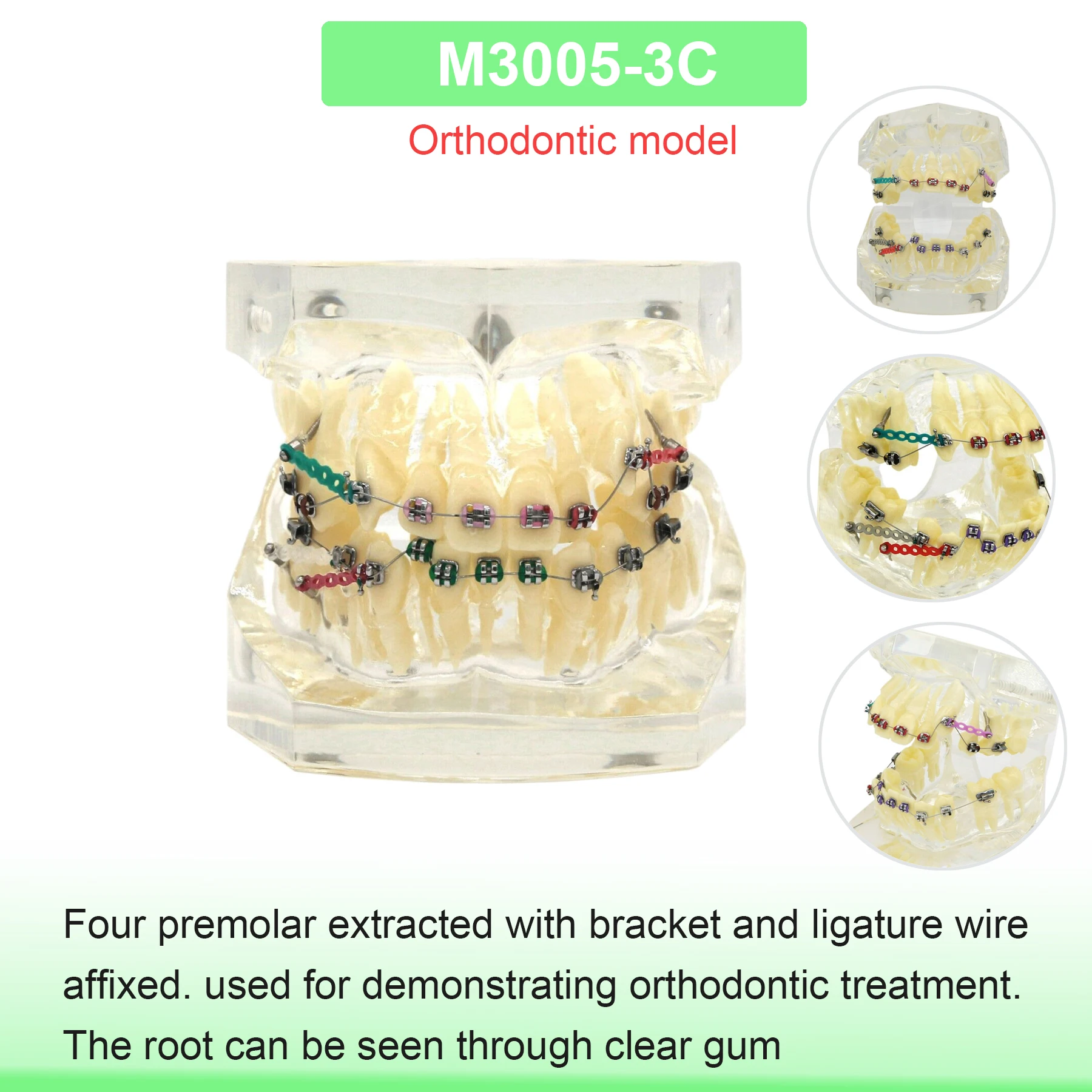 M3005-3C