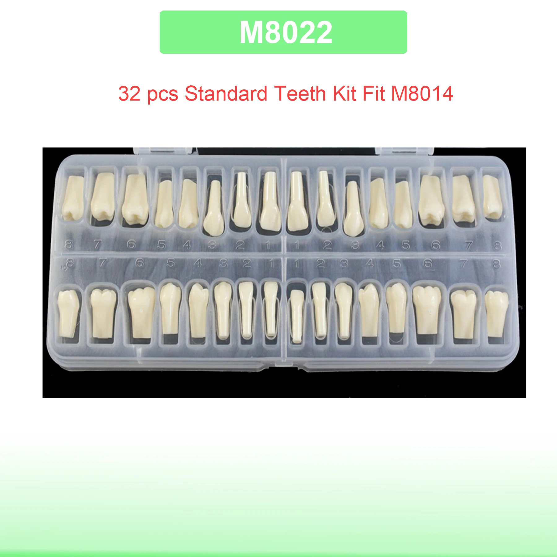M8022