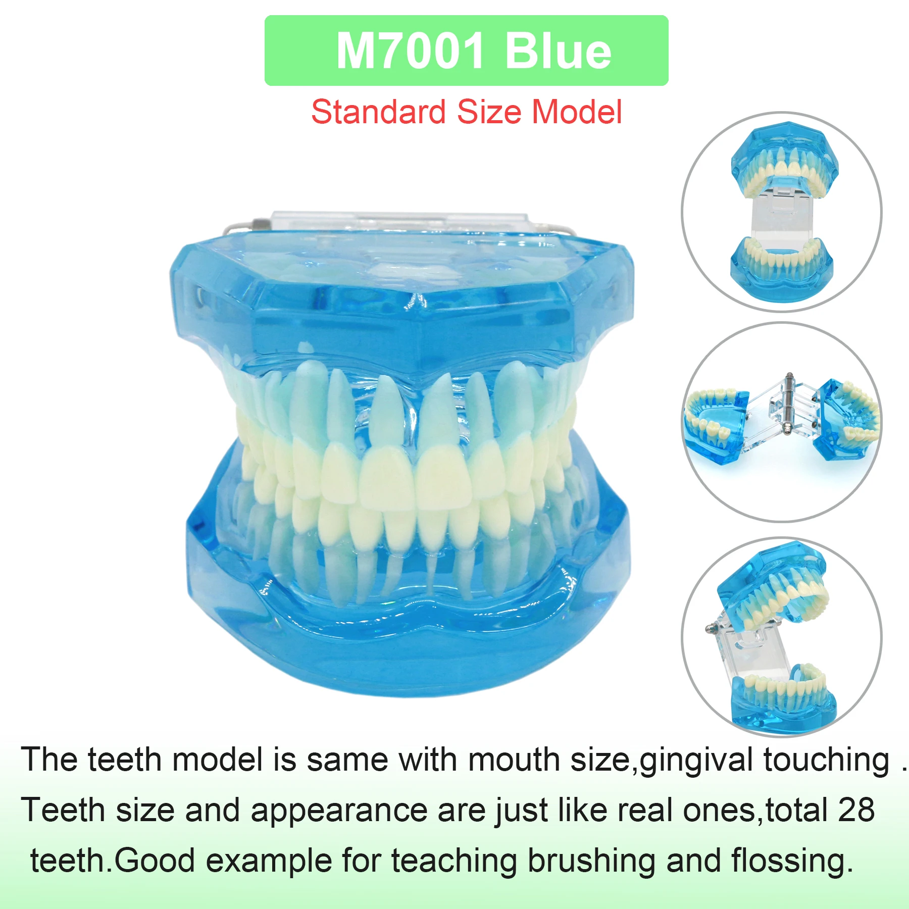 M7001 B