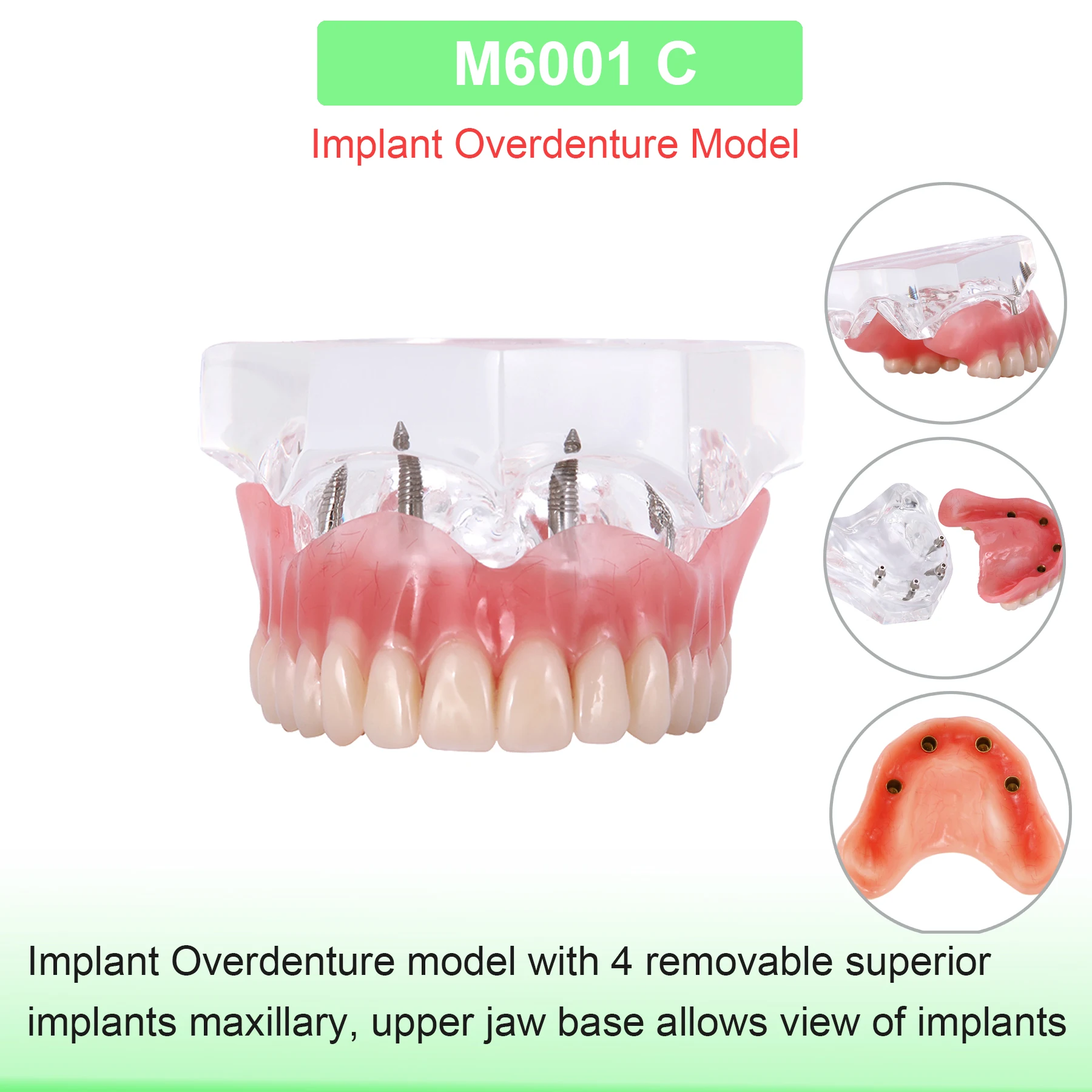 M6001C