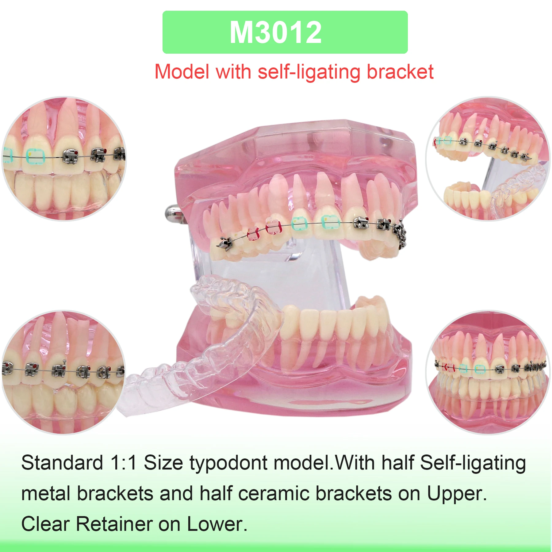 M3012