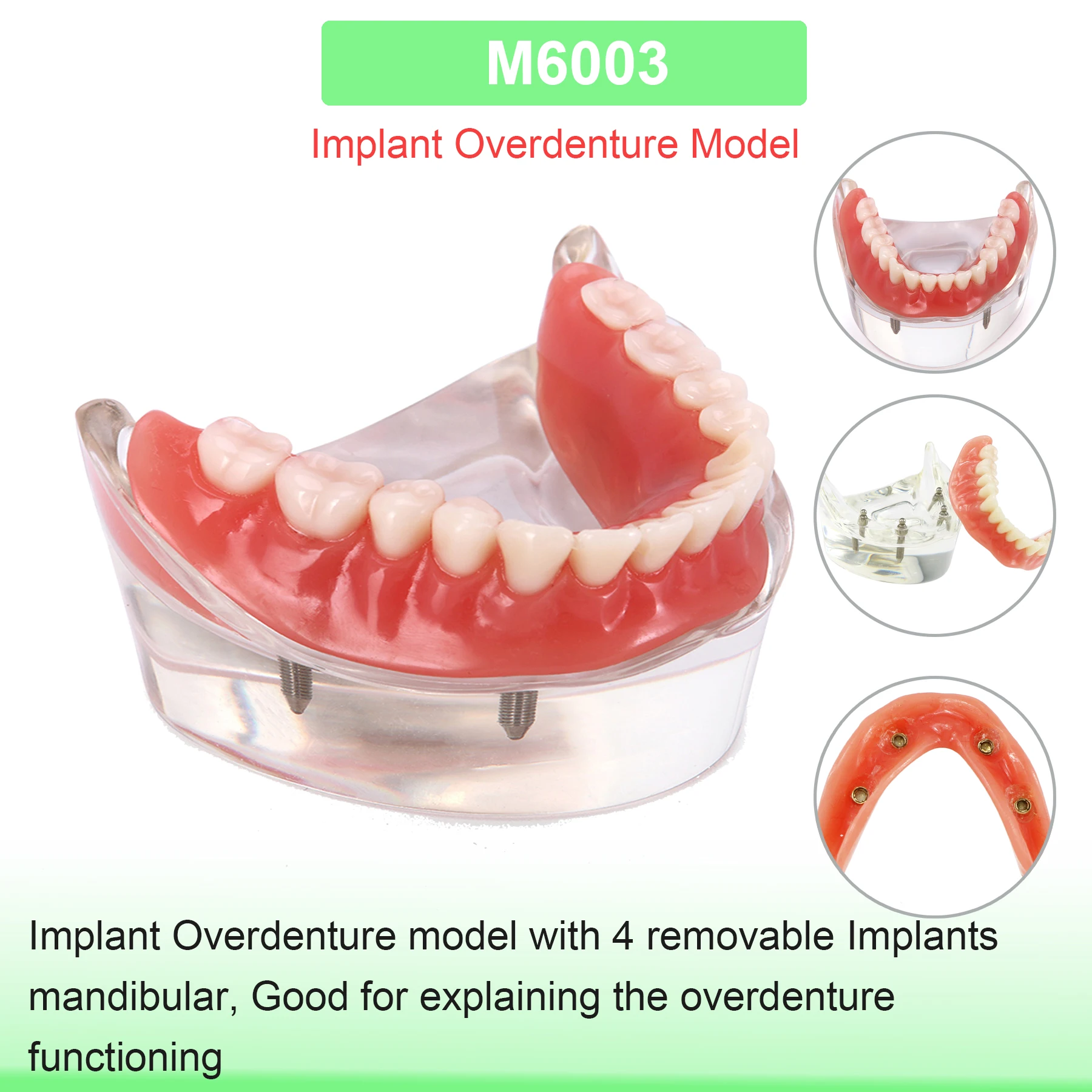 M6003