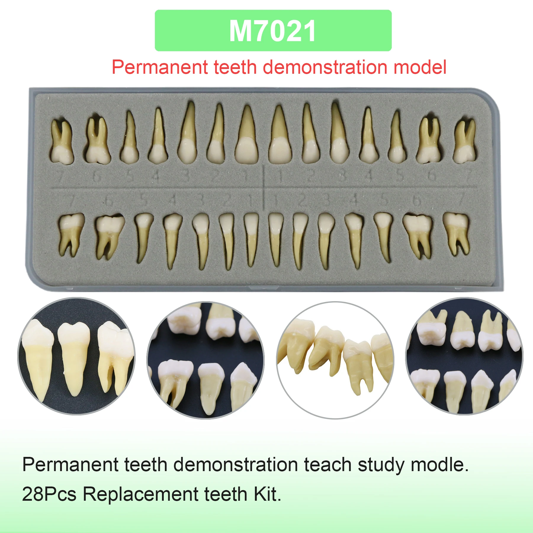 M7021