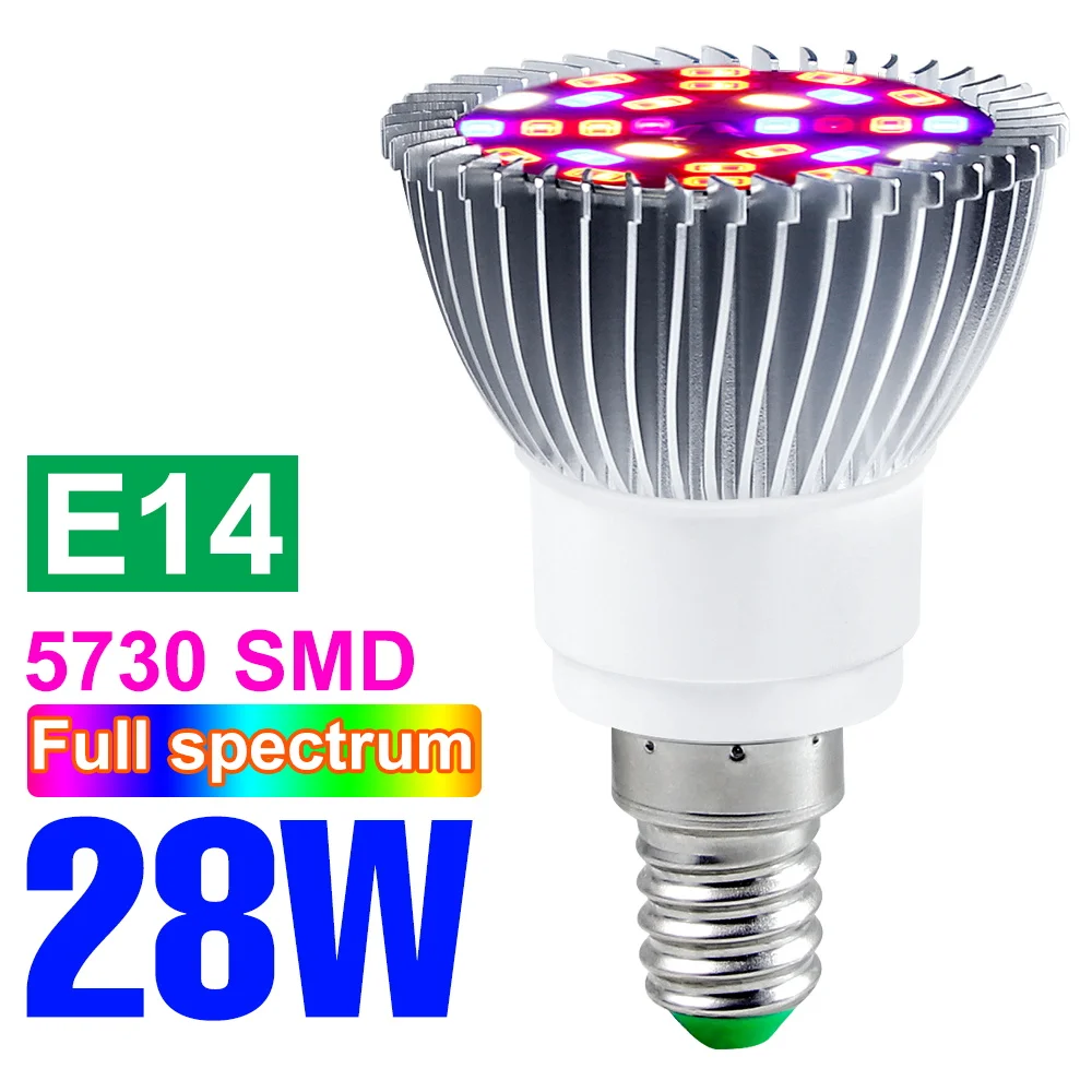 E14 28W
