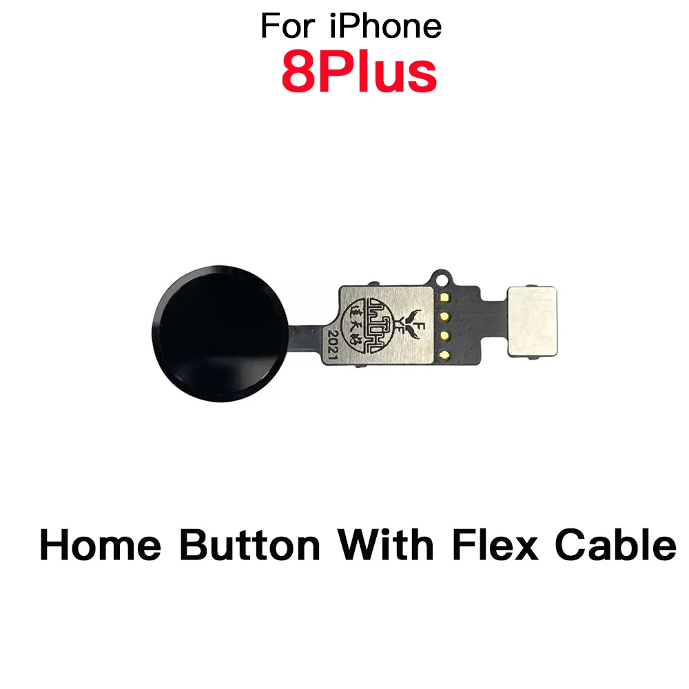 Home Button