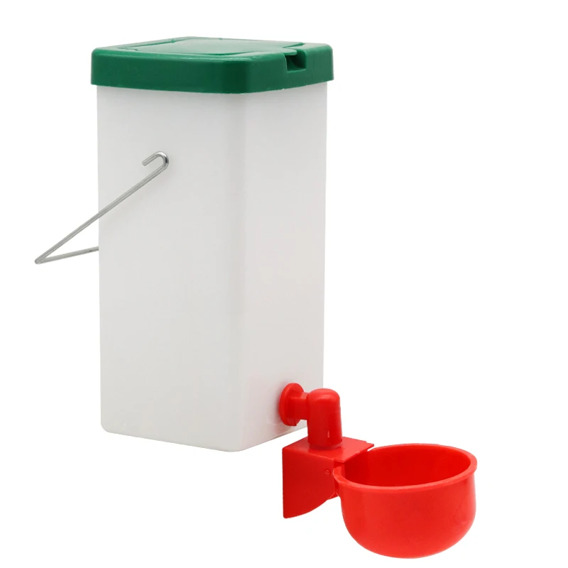 Bottle and Red bowl