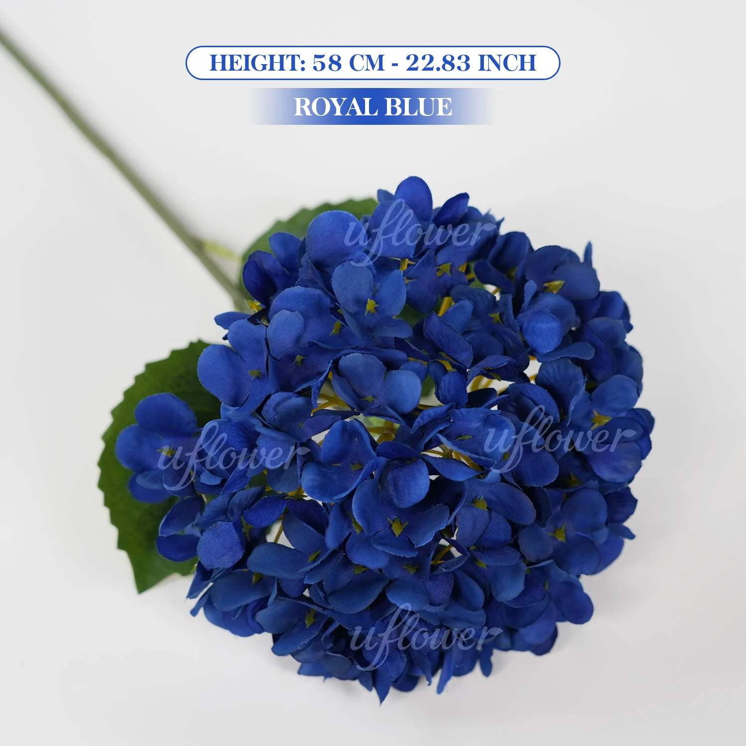 Deep Blue