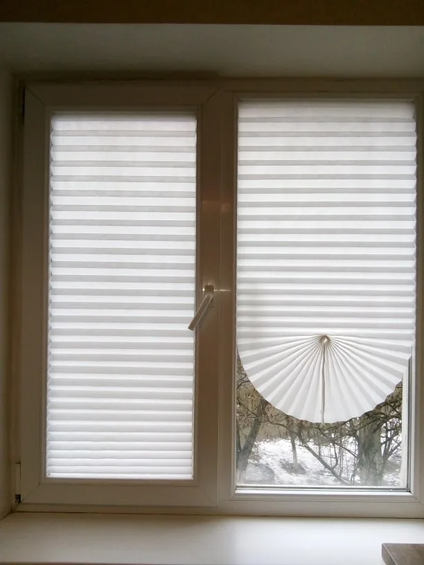 Blinds White
