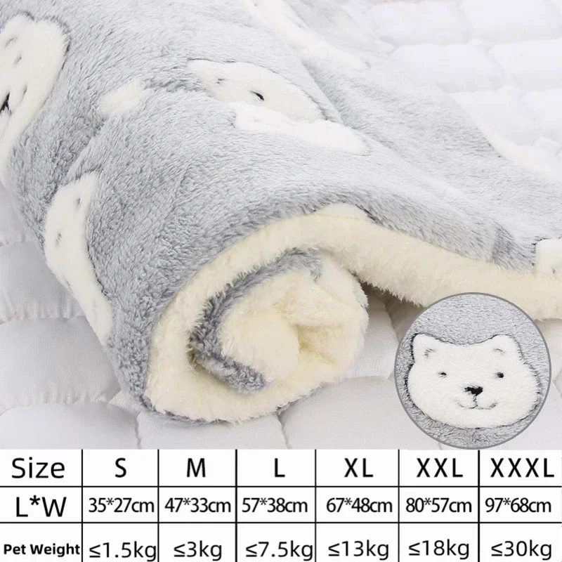 A-gray bear