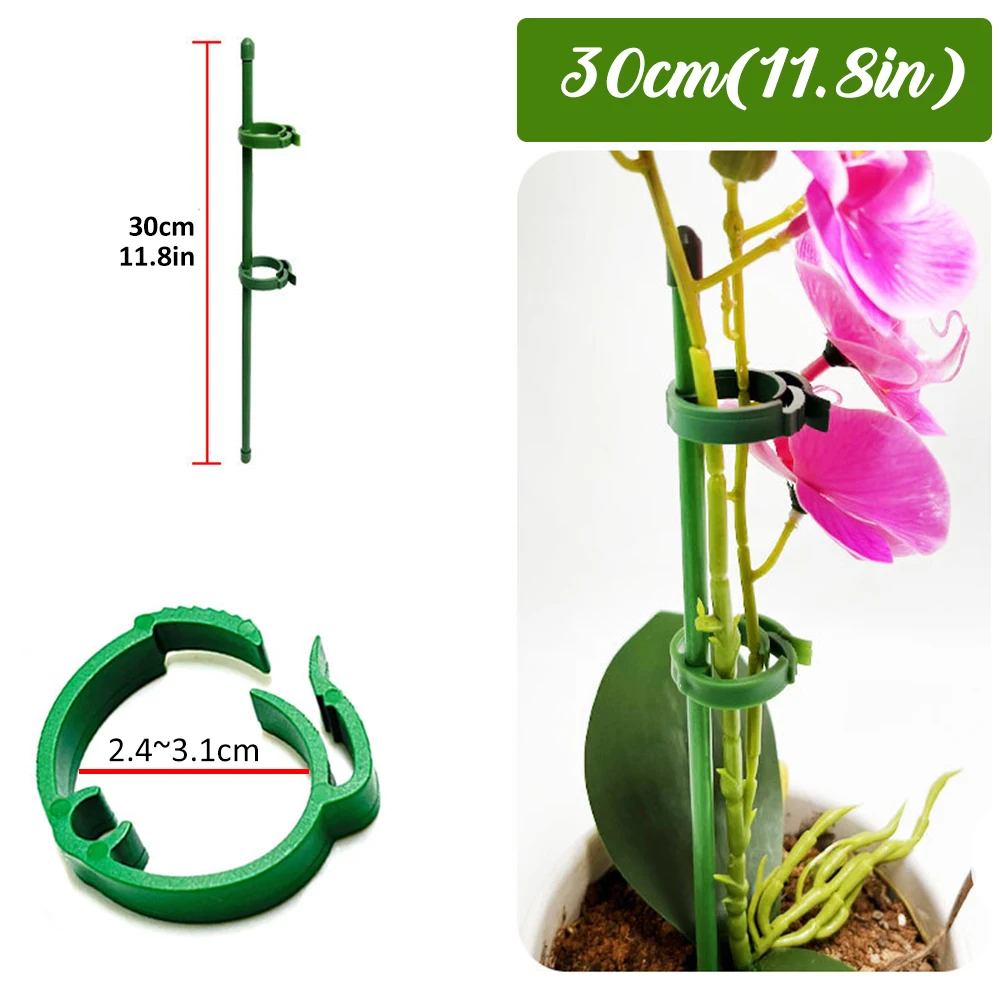 30cm