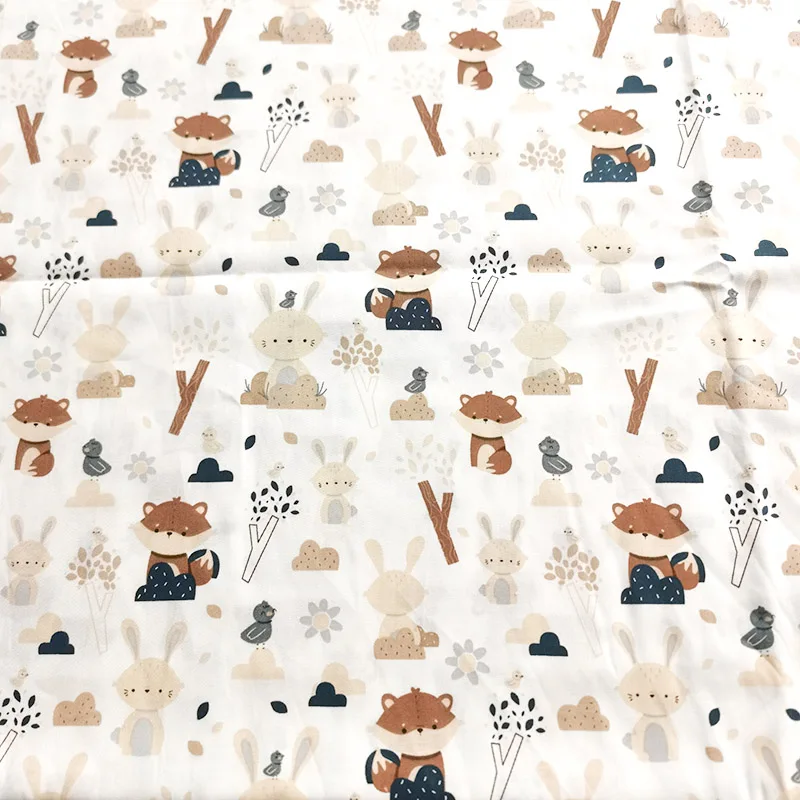 Raccoon