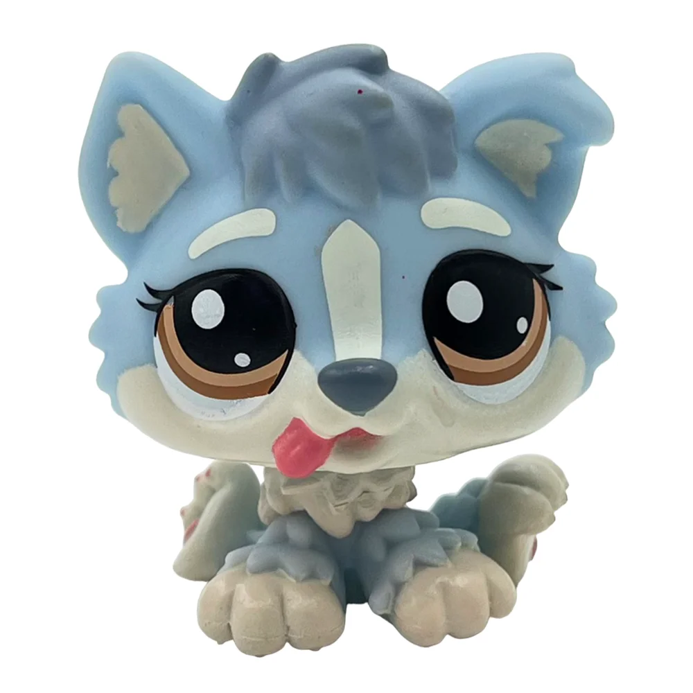 Puppy 1683