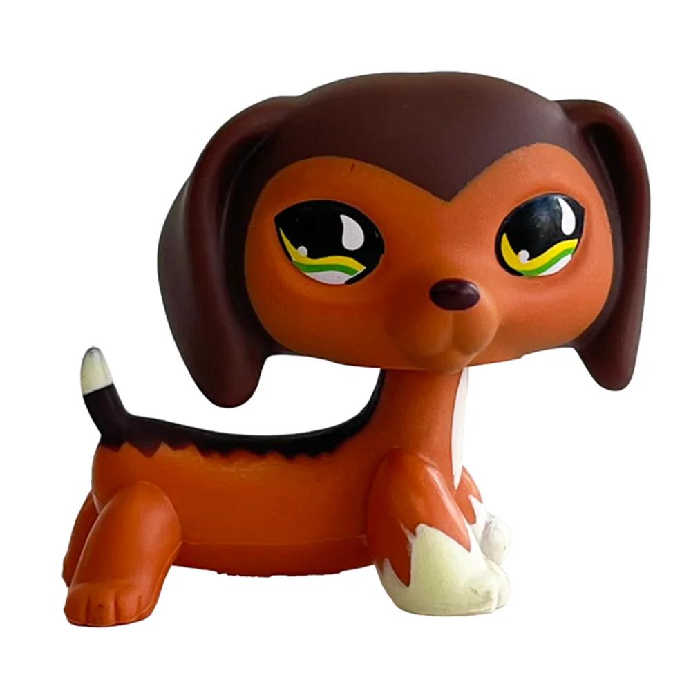 Dachshund 675