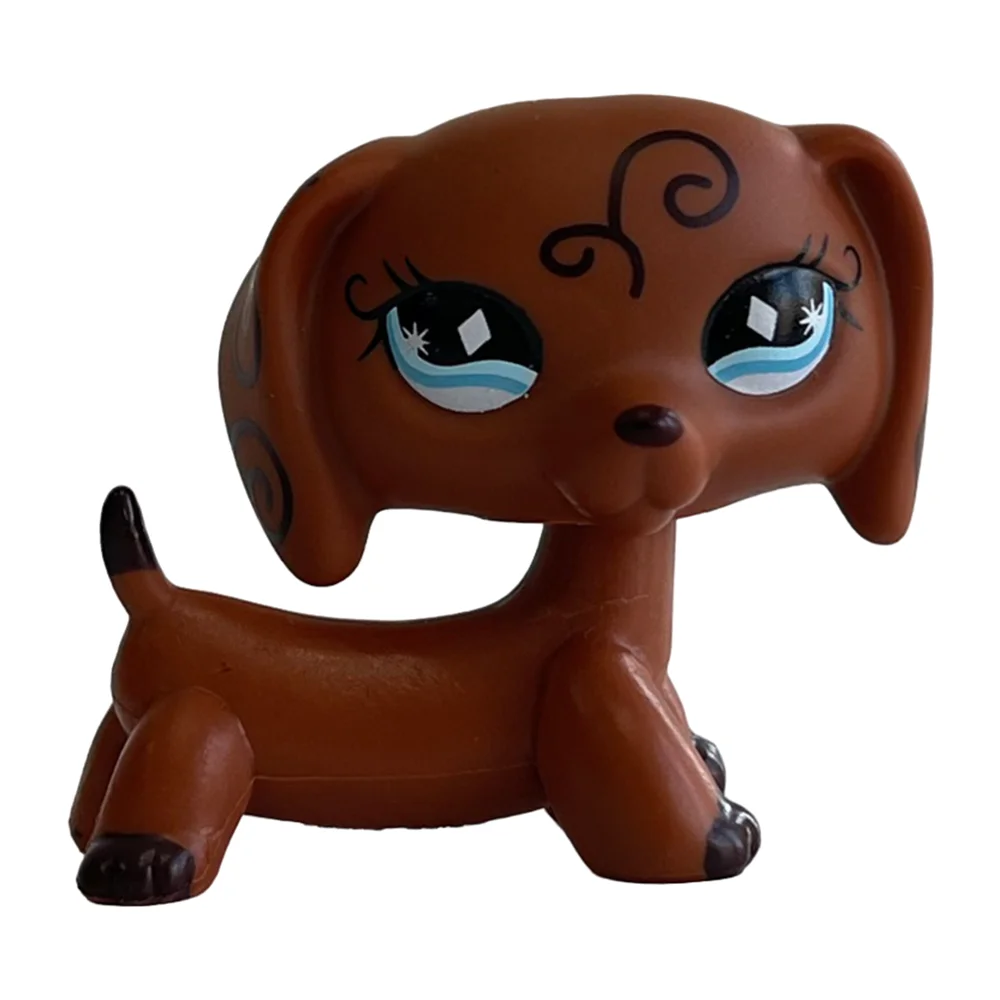 Dachshund 640