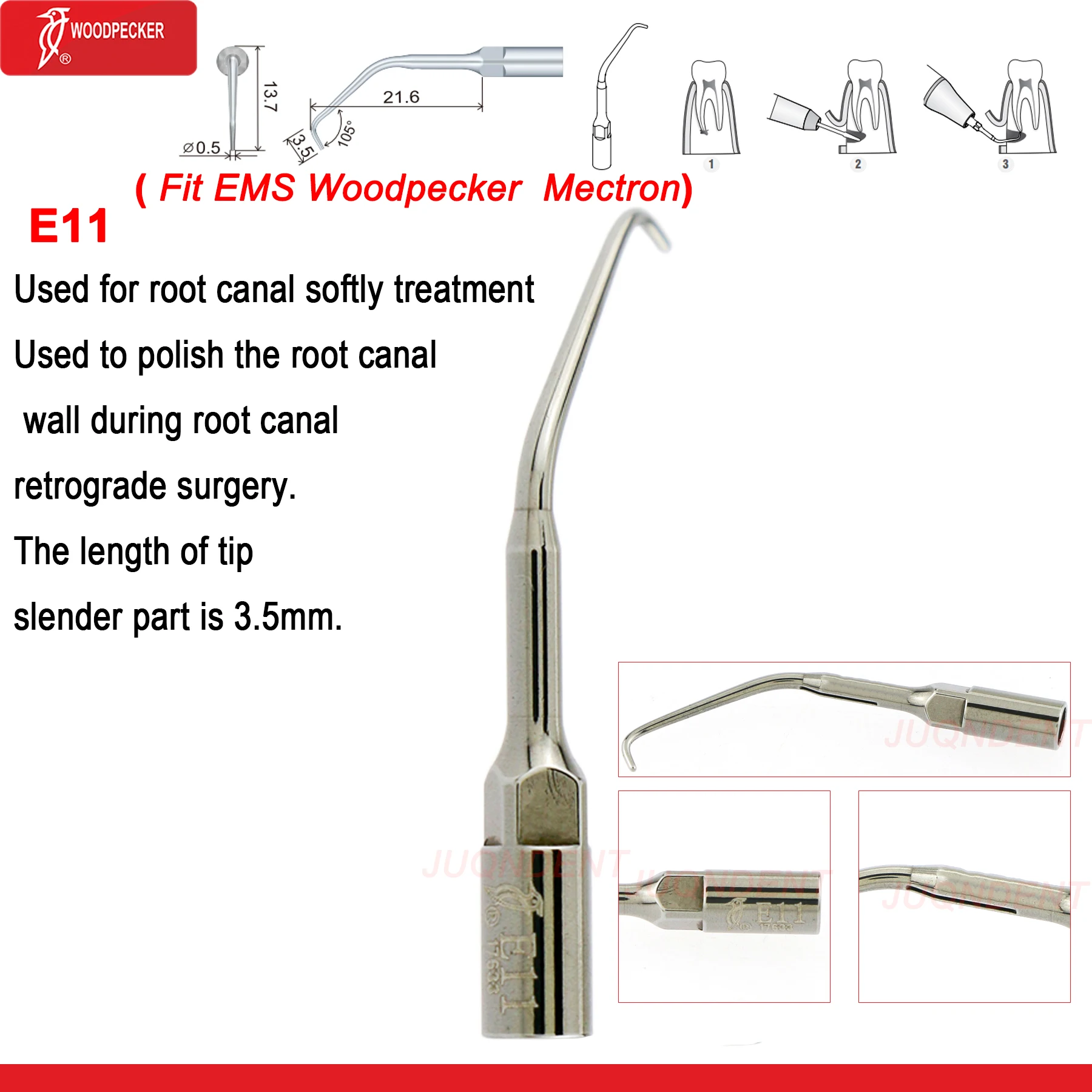 E11