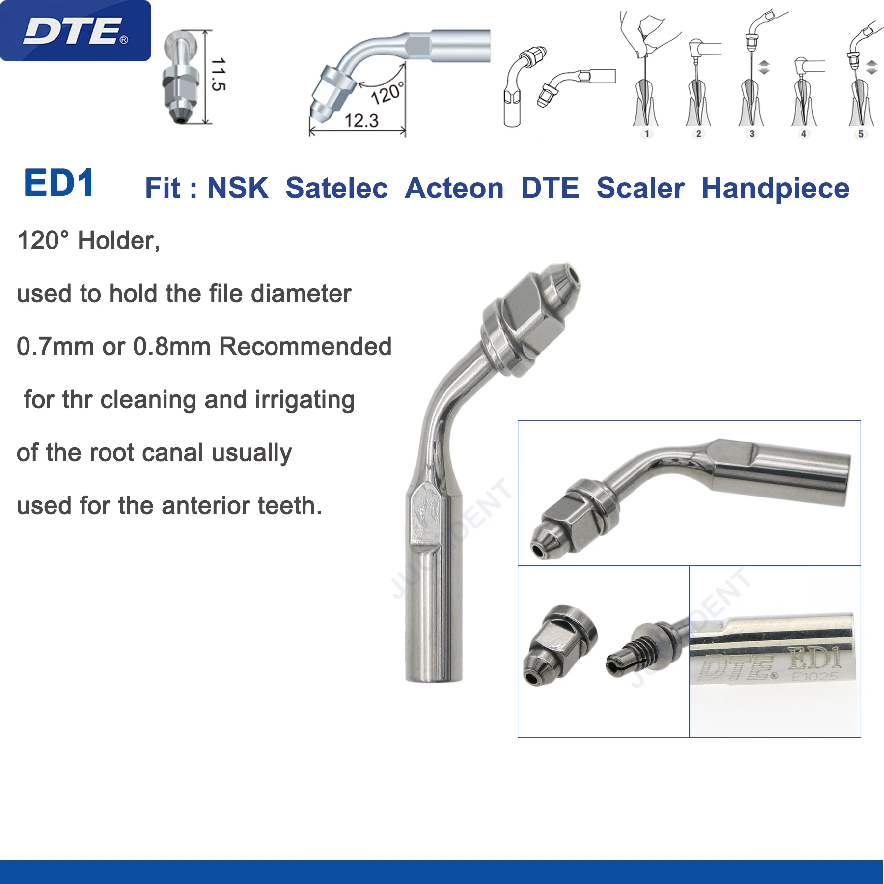 ED1